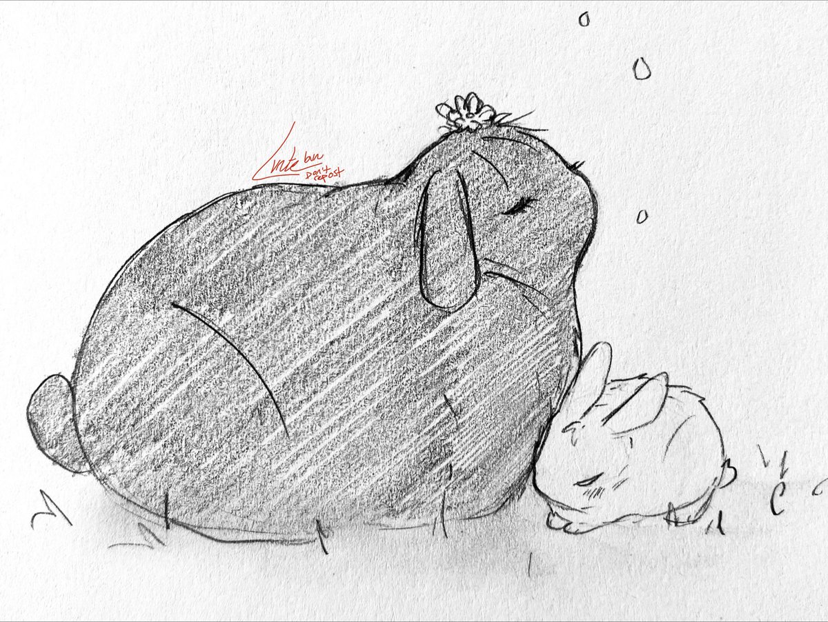 Lunte_bun's tweet photo. #alnst #tillivan #ibannylove -old-
The weather is grey today, so have some bunnies in love💖
(You know Tillbun is the True Dominant as he can and will climb onto his wife.
Till could learn something.) https://t.co/eZ9YjJFrqT