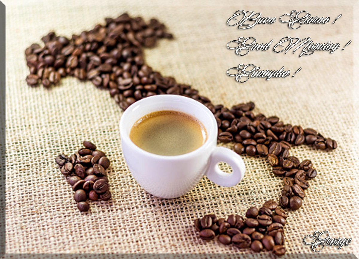 GiorGior__G's tweet photo. Felice Martedì carissimi Twitterini !
Happy Tuesday dear X-friends !
Sevgili dostlar , mutlu Salılar !
Kαλημέρα φίλοι μοu , καλή Τρίτη
#zelena #BuongiornoATutti #follo4folloback #GoodMorningEveryone #Tuesdaymood #Καλημέρα #Günaydın #June #Τρίτη #Salilar https://t.co/7Kn3WzchLw