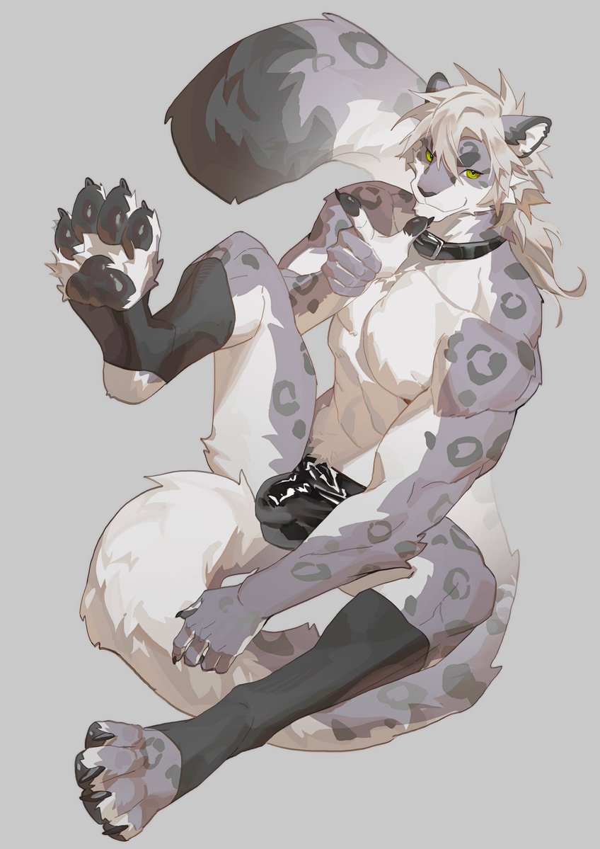 Rekalcix's tweet photo. #Furry commission https://t.co/YuuQqZ09Ws