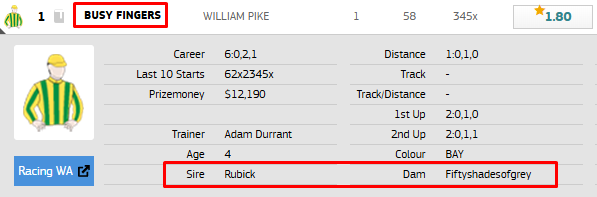 CleverBetTips's tweet photo. This is up there with the greatest names of all time. https://t.co/ABlHBLfb2z