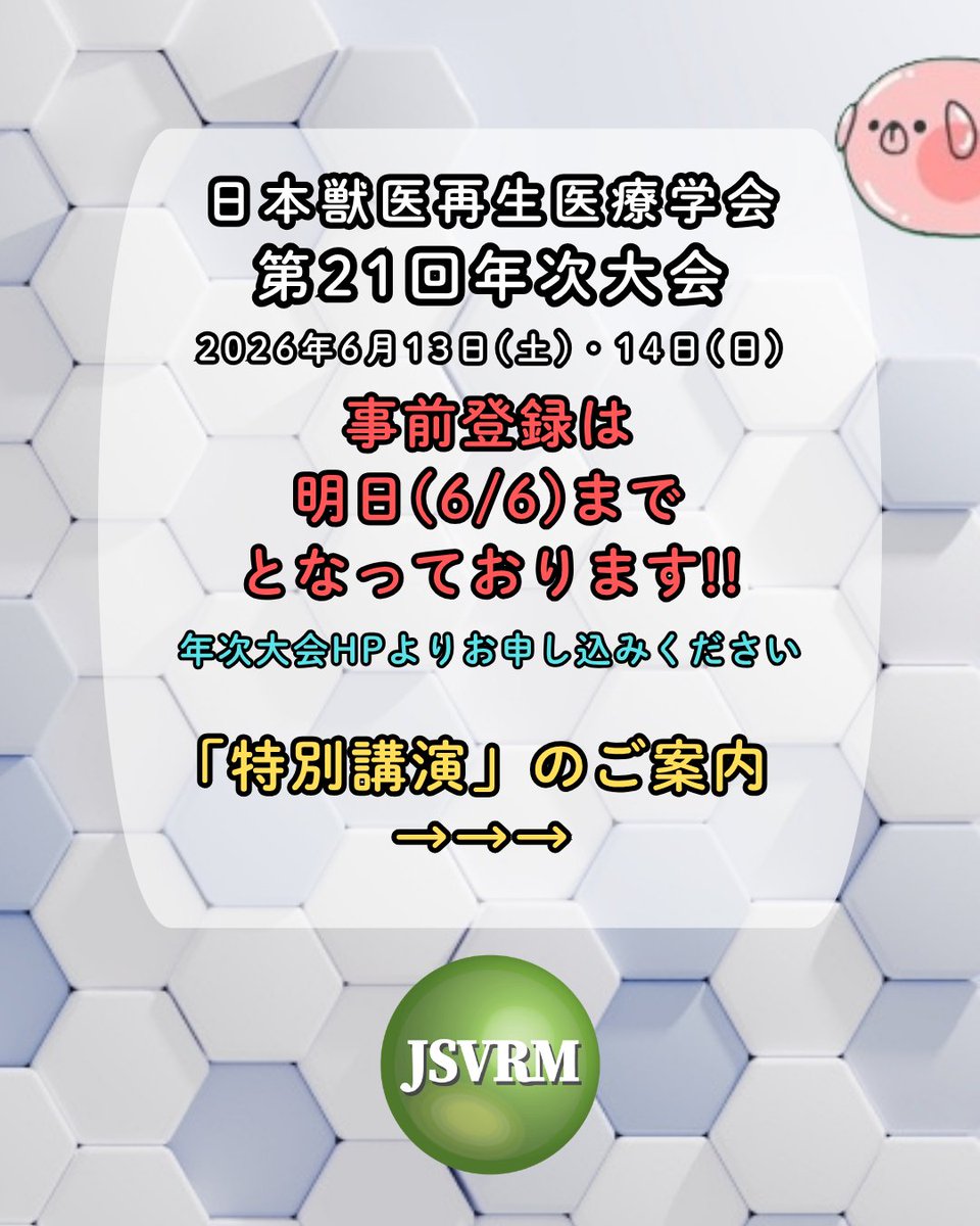 jsvrm_org's tweet photo. 🚢第21回年次大会 事前登録締切は明日まで!!
💡特別講演についてお知らせ
国立成育医療研究センター研究所 阿久津英憲先生の特別講演「生命を模倣する—幹細胞由来ミニ臓器が拓く次世代医学研究」✨
当日登録も可能ですが便利な事前登録をご利用ください！皆さまのご参加お待ちしております😄 https://t.co/Li9YN5WUtQ