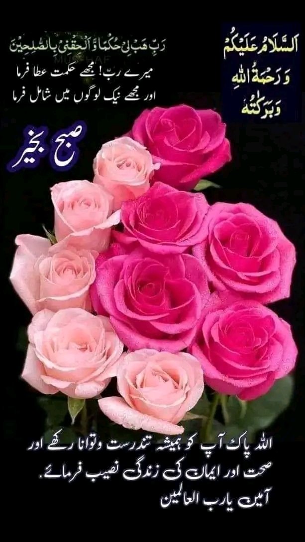 Syedsyed5565's tweet photo. السلام عليكم 
صبح بخیر زندگی 
اللھم صل اللہ محمد وعلی آل مُحَمَّد وبارک وسلم https://t.co/6zm1YDoJvL