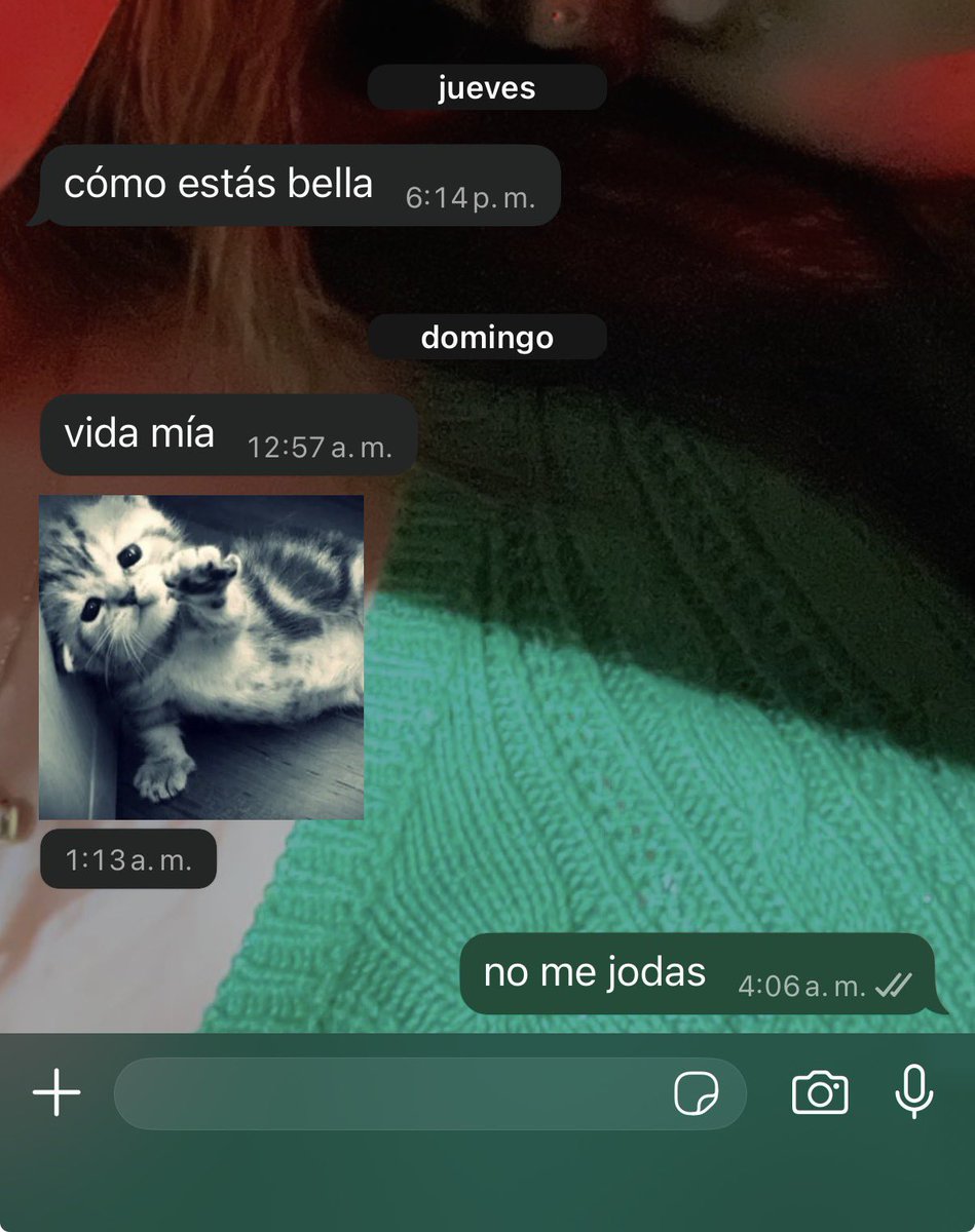 milenita tweet media