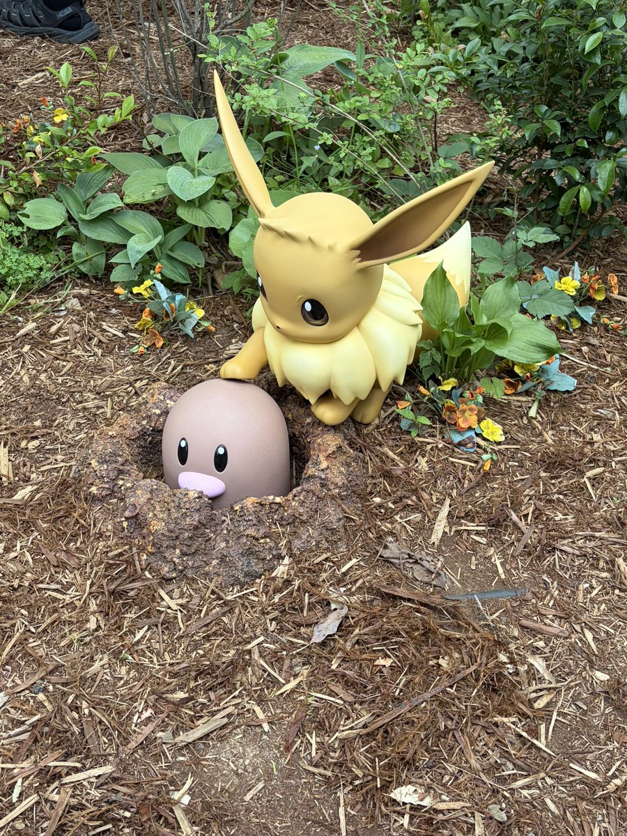 pec0_K's tweet photo. ポケモンしてます https://t.co/wuksKurg8P