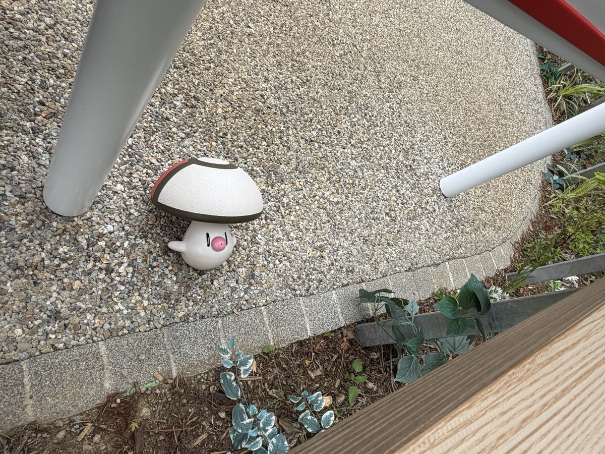 pec0_K's tweet photo. ポケモンしてます https://t.co/wuksKurg8P