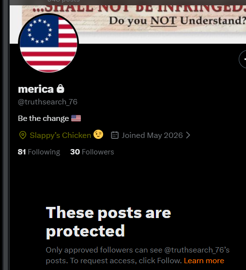 AmericaFirst2026 tweet media