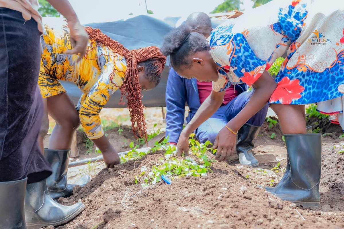 d_kabahukya's tweet photo. Better choices, better life. Youth engaged in farming @smiles centre https://t.co/tjb1Mw7iDV