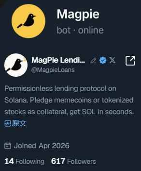 大番茄 tweet media