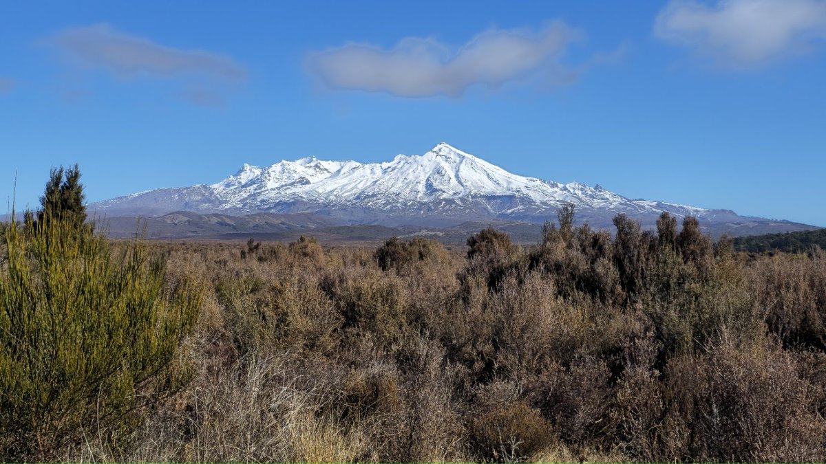RufusRedbeard's tweet photo. @RachelVT42 3 in NZ
Ngauruhoe, Mt Doom in Lord of the Rings
Ruapehu, highest point in the North Island
Taupo supervolcano, the lake is in its crater, its Oruanui eruption was the largest eruption in the last 70k years, Hatepe eruption the largest in the last 5k years
All 📷by my wife https://t.co/39R4bt5u4z