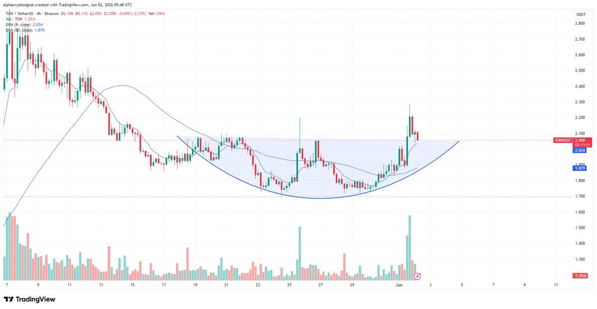 alphacryptosign's tweet photo. Thoughts on #TON:

$TON has completed a rounding bottom breakout and is now attempting to establish support above the former neckline resistance. The strong impulsive move backed by rising volume confirms renewed buying interest, shifting the short-term structure in favor of the bulls.

The key area to watch is the breakout zone around $2.05. As long as $TON holds this level on any pullback, the breakout remains valid and the path of least resistance stays to the upside. A successful retest could provide the foundation for another leg higher, while losing the neckline would weaken the bullish setup.