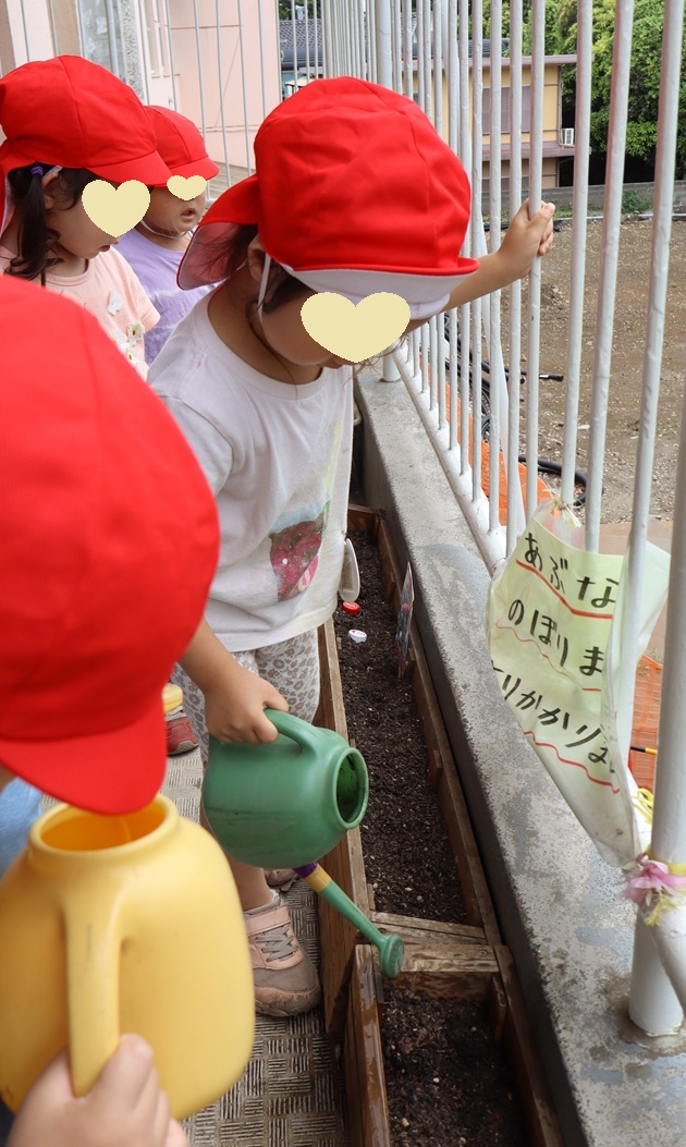SBKG_PR's tweet photo. 年長の稲が段々と育ってきました！
年少組はお花の種を植えました！どんなお花が咲くのかな？ https://t.co/VhXDJTnV23