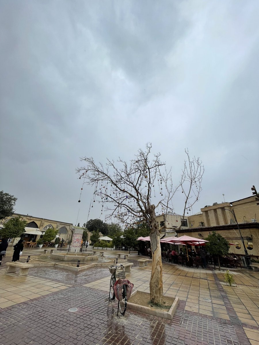 Ali_tootoochi's tweet photo. از وقتی درخترو قطع کردن رنگو لعاب اینجا رفت. https://t.co/N74old1oyg