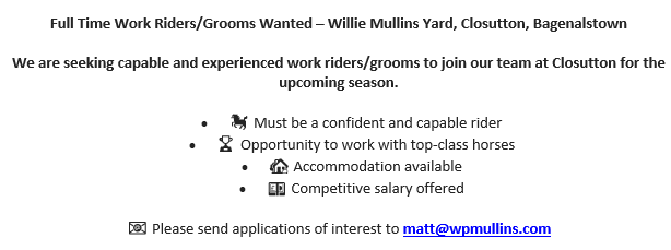 WillieMullinsNH's tweet photo. 🏇Full Time Work Riders/Grooms Wanted🏇 https://t.co/qQ0UwcCwJq