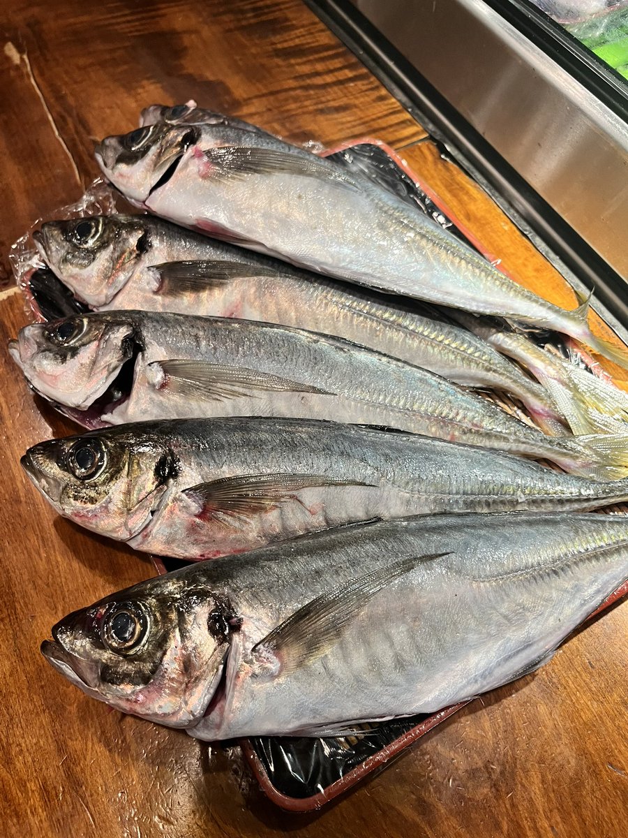 cafe_wakamatu's tweet photo. 【入荷情報】
アジ！

今までのアジはなんだったのか
こんなん食べた事ない
え？安すぎない？

と色々嬉しいお言葉を頂けている新潟直送アジ、今日よりお天気も悪そうなので多めに入ってます！ https://t.co/RVVaKfRrr9