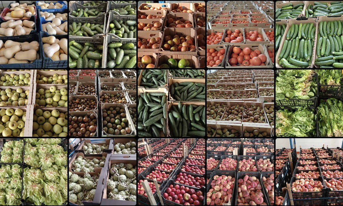 Balrial's tweet photo. A lo largo de estos 6 meses, hemos repartido y repartidemos entre nuestras entidades colaboradoras 1️⃣3️⃣4️⃣.9️⃣7️⃣3️⃣ KG de verduras de temporada del Fondo de Garantía Agraria. Tomate, pepino, calabaza, calabacín, manzana, lechuga, espinaca, alcachofa, nectarina, paraguayo y platerías https://t.co/tqzXCc7BRD