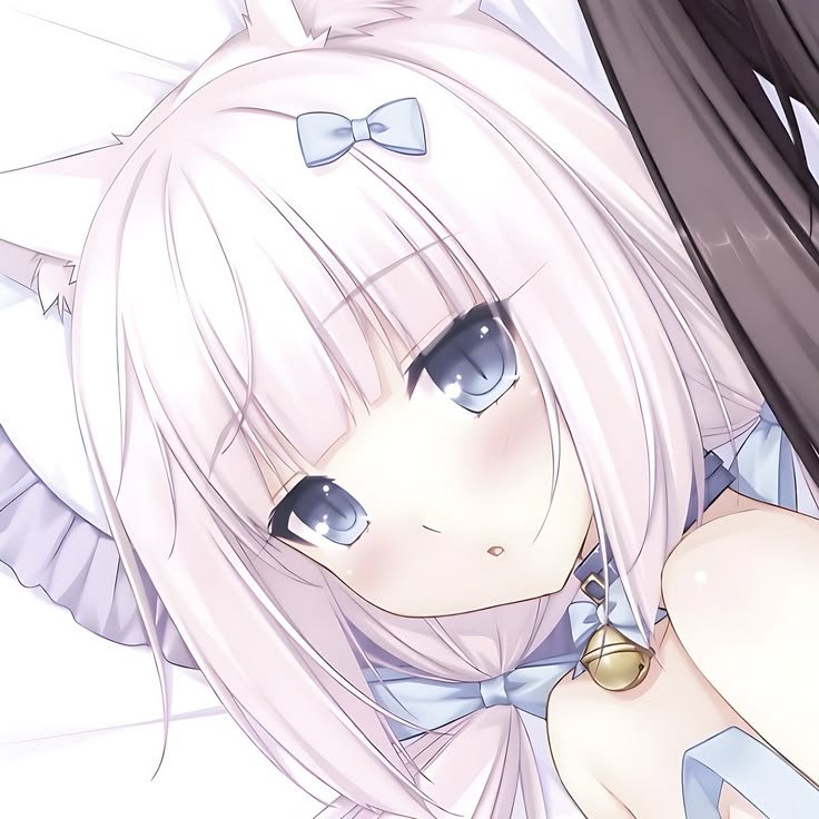 ๖ 𝒹★𝓁𝓁 ໒꒱ tweet media