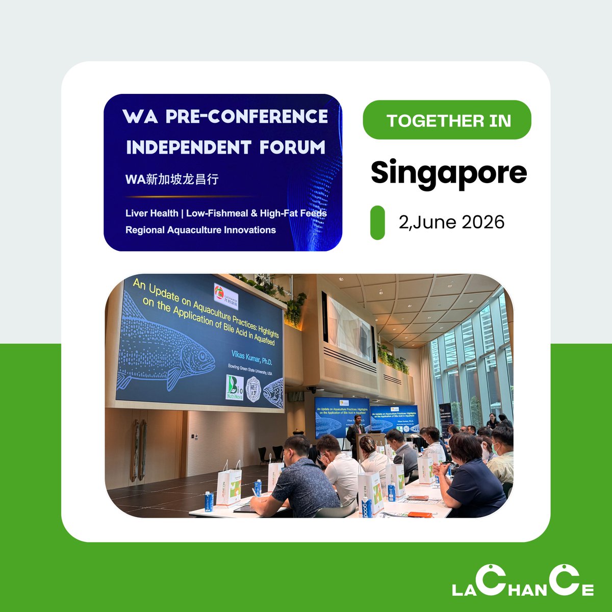 LACHANCE2004's tweet photo. Great Mind 💡 Meet in Singapore! 
@LACHANCE2004  Forum concluded with inspiring discussions on Low-Fishmeal &amp; High-Fat Feeds Regional Aquaculture Innovations.
Our heartfelt thanks go out to the professors and partners who brought their groundbreaking insights to the table. https://t.co/vUe9tCy8mM