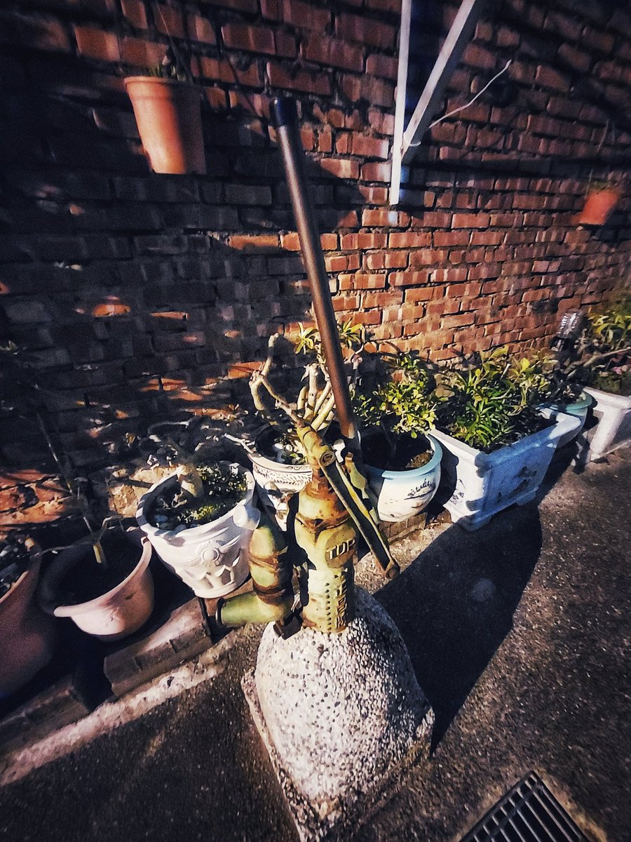 ckckforeskin's tweet photo. 夕べの路地へ 54
#AsianEmergingPhoto #Taiwan #LightAndShadow #streetsnap #nightphotography #alley #bricks #plants
©️skinskin https://t.co/1er4rlgn0K