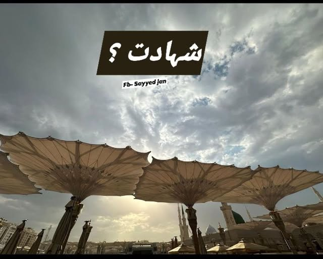 Maria Baloch tweet media