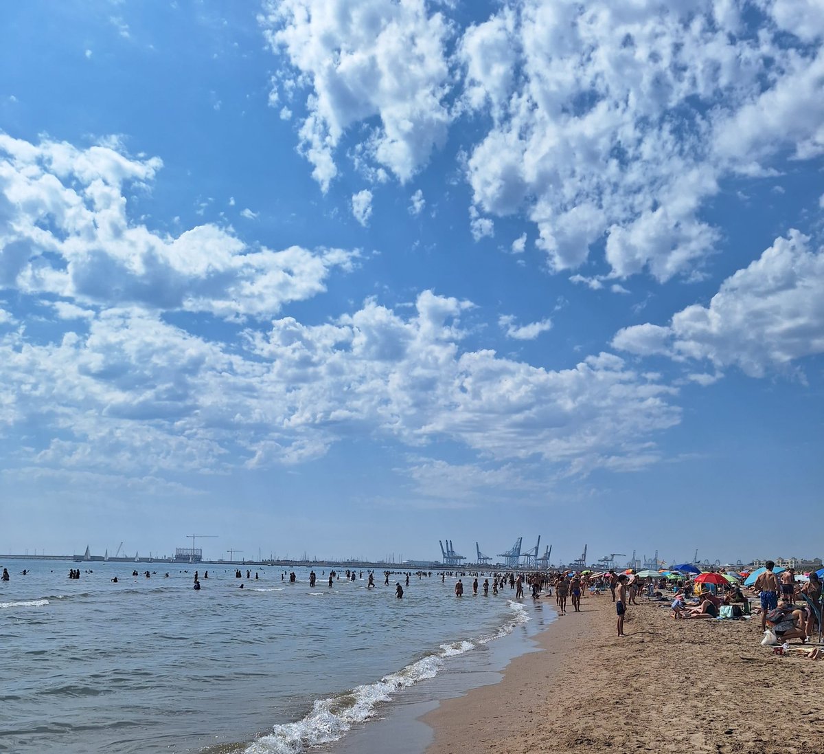 AjuntamentVLC's tweet photo. 🏖️ Activat el dispositiu especial de platges d'esta temporada estival!

👮‍♀️ Més de 200 professionals vetlaran per la seguretat, socorrisme, neteja i atenció a la ciutadania 🗓️ fins al 15/09.

🛟15 postes de vigilància, ambulàncies i motos aquàtiques treballaran per garantir la seguretat al llarg de més de 20 km de costa.

♿ Punts de bany accessible i programa pioner amb @Avapace per a persones amb paràlisi cerebral.

➡️ Platja can 🐶 del 1/07 fins al 30/09 (⏰ 9:30 a 19:30 h).

+ℹ️ https://t.co/IY6k9uQAlG