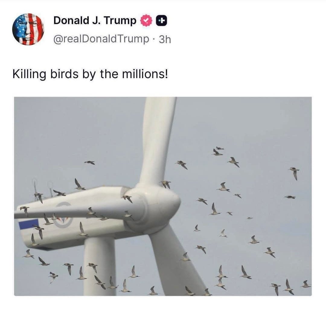 Glenn Tunes tweet media