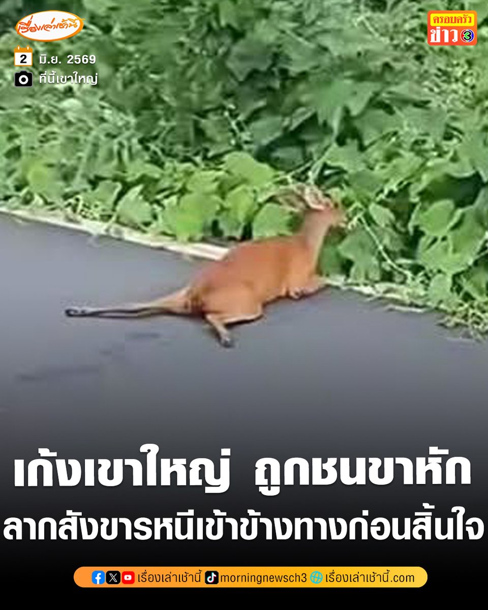 เรื่องเล่าเช้านี้ tweet media