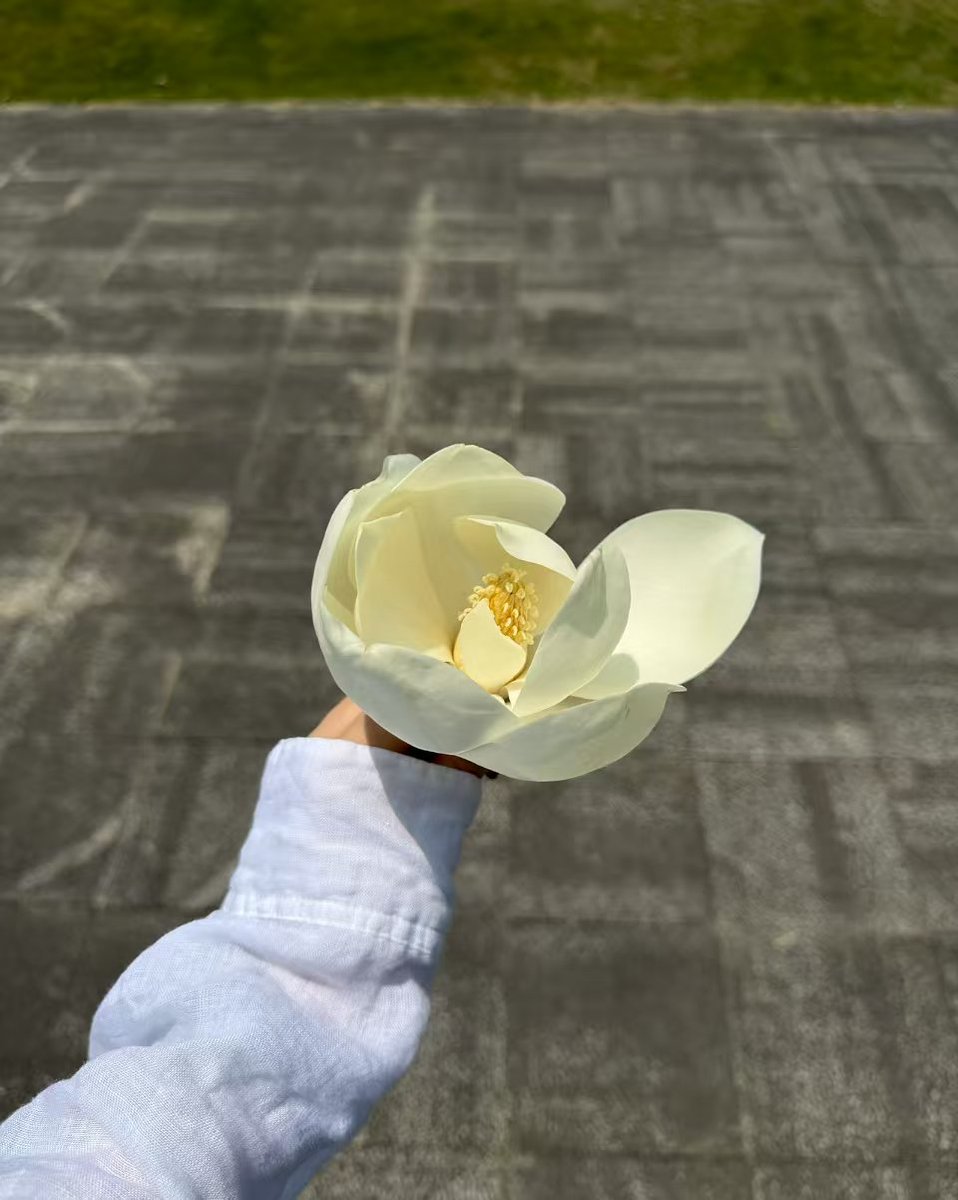 Lisa Lyu(💯互fo) tweet media