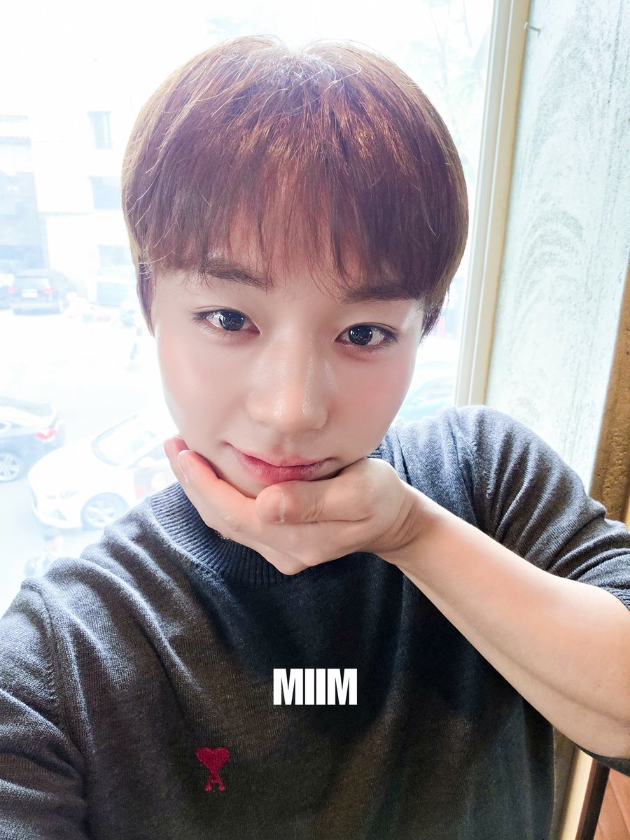 529season's tweet photo. 아 미친 너무 귀엽다 https://t.co/xjFR42e4CF