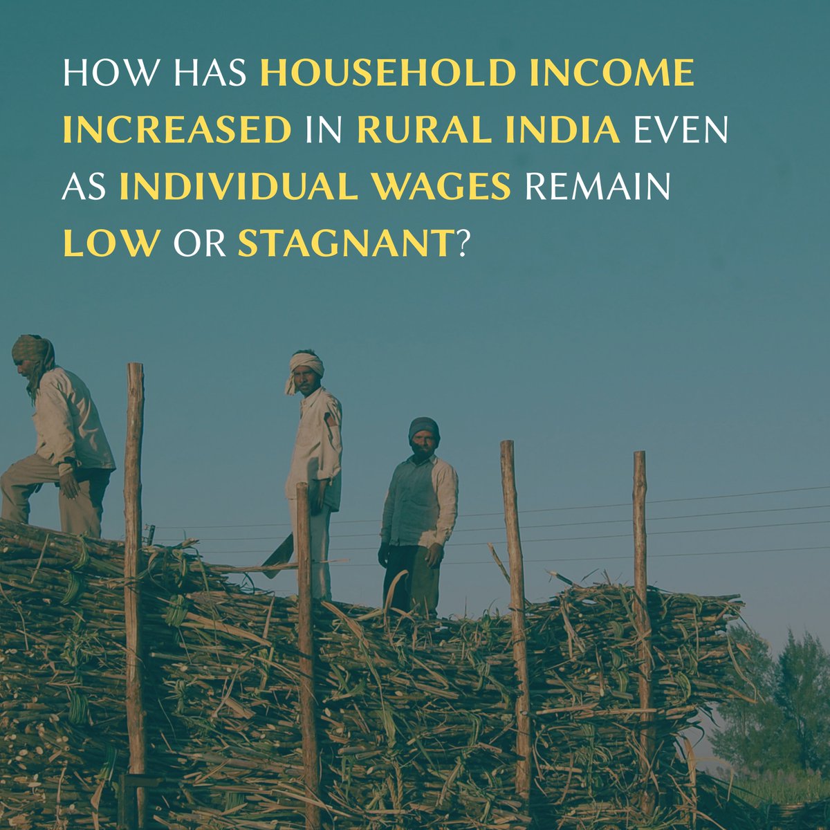 reviewagrarian's tweet photo. 📢New in RAS 16,1!

@qfint, M. K. Shravan, and @econarjun (@azimpremjiuniv) look at PLFS data (@GoIStats) to explore a puzzle about rural growth in India. Read the article here: https://t.co/Vhdmh7jF9h.
