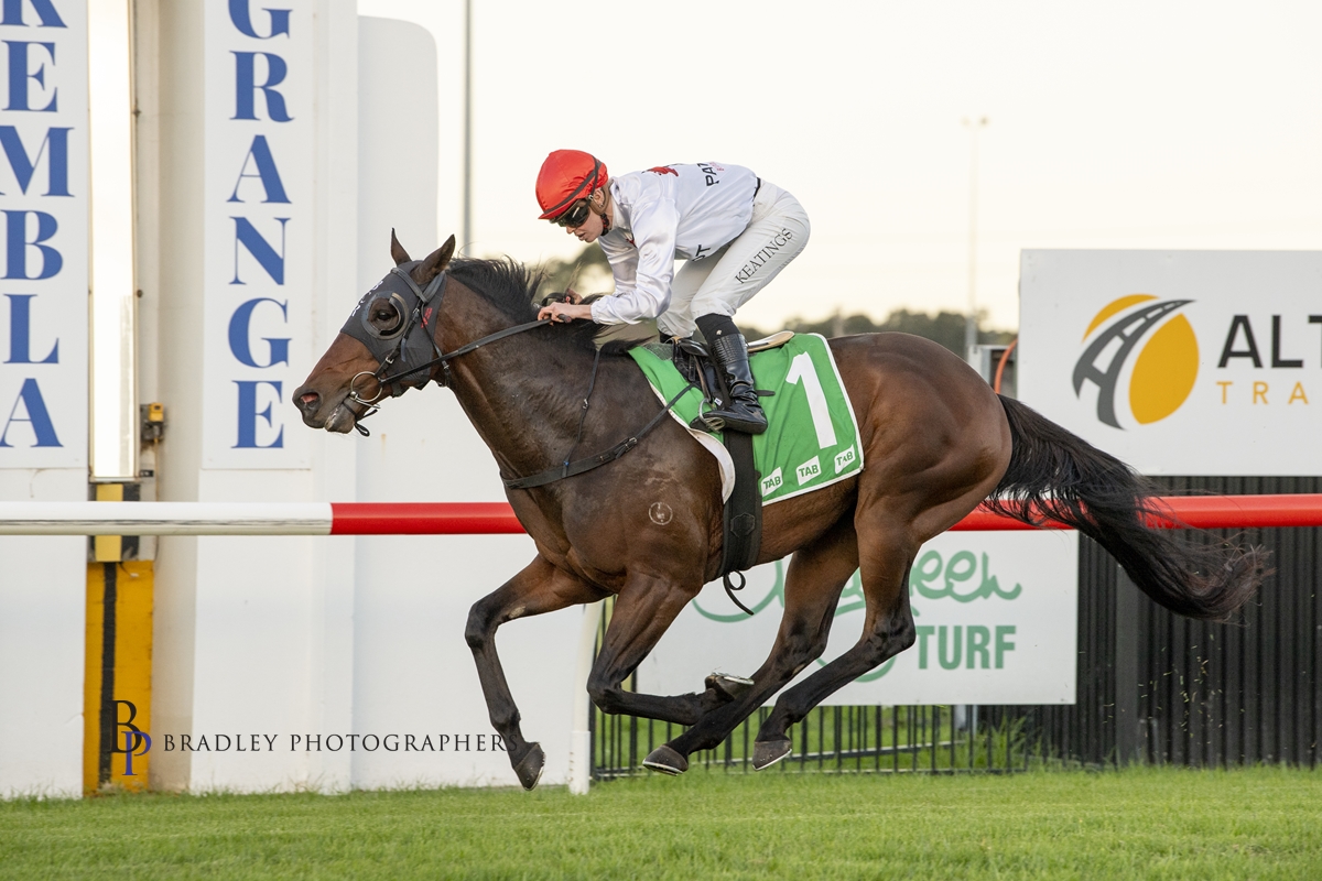 Patriot_BldStk's tweet photo. Another in the bag for PRESIDES @beermitchell + @georgecarpen1er 

A $27.5k @inglis_sales ex Godolphin, has now banked over $100k for Patriot and many happy owners 
@willow22284 
@darrah_ross 
@StorminNG 
@ajsmitte 
@benwellsy00 
@mrpkpk 
@vladejank1
@davyhat
@texy71 https://t.co/IgKEUmY62Q