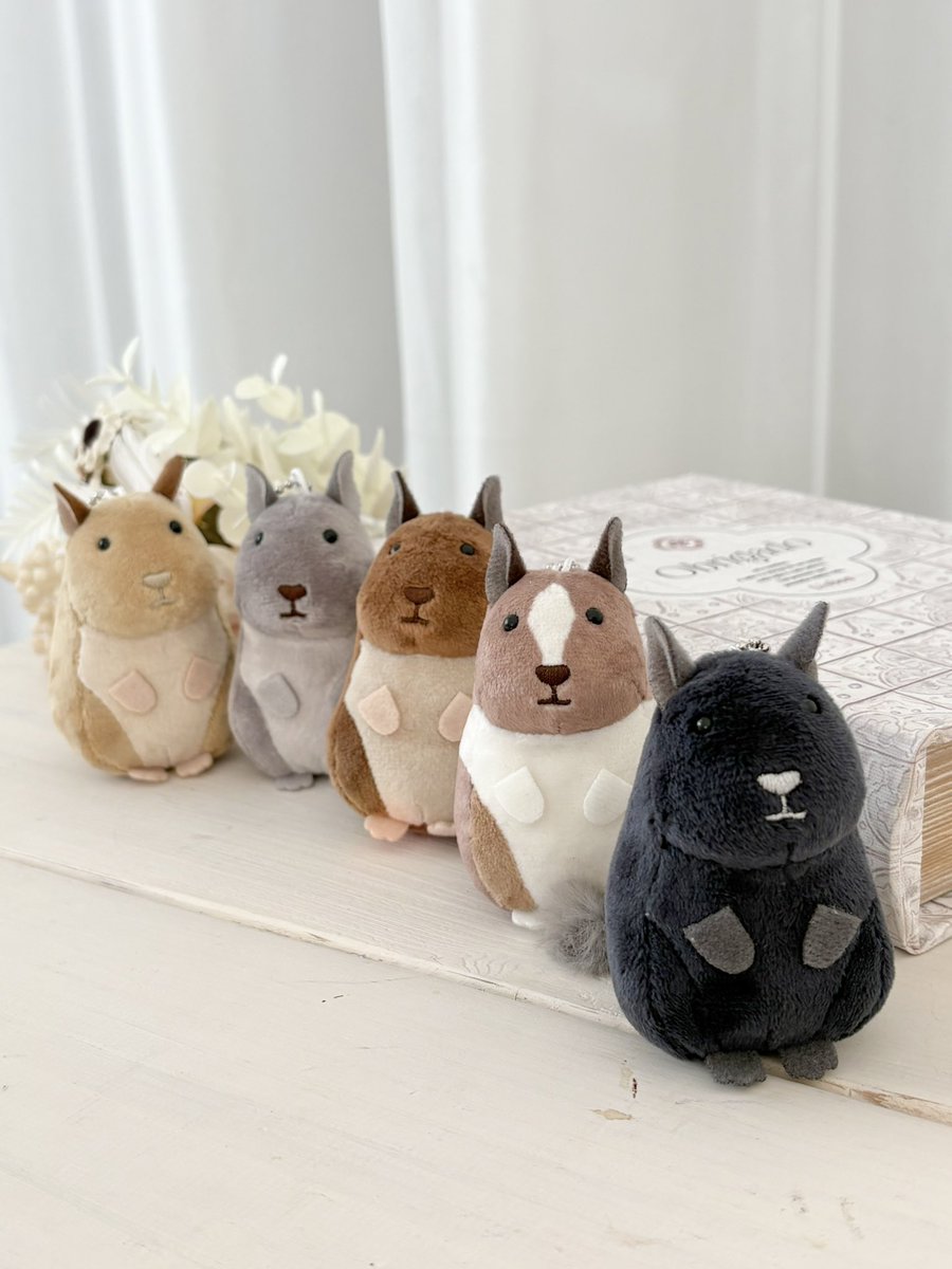 私の方でカプセルトイデグーぬいぐるみを仕入れたので、通販を予定し
