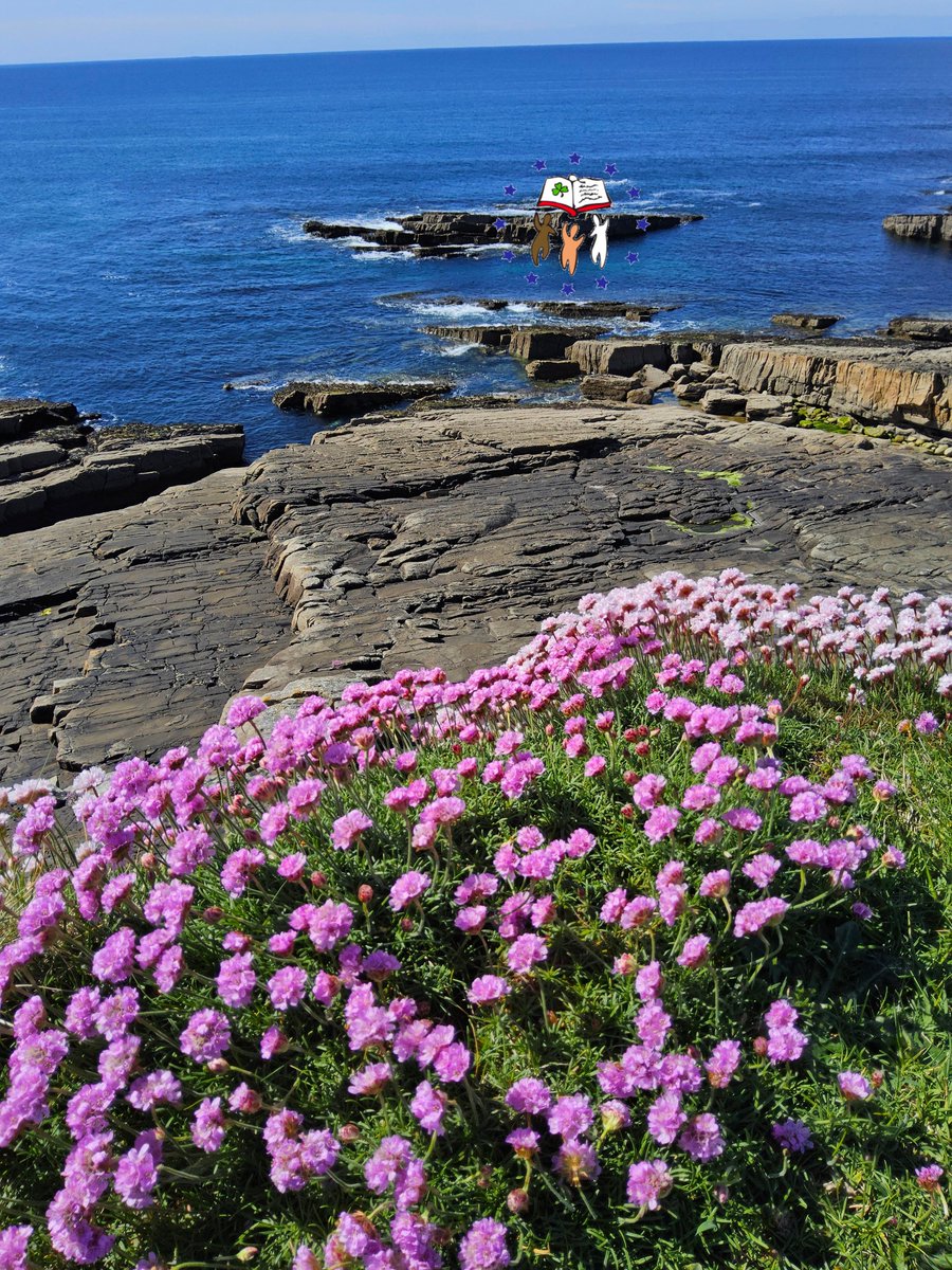 LanguageXchang1's tweet photo. Unleash your potential while exploring the stunning landscapes of Wicklow! Enhance your English and career. #Erasmus #Ireland #Internship #StudentLife #CareerGrowth  
We Manage your Irish Internship Experience! https://t.co/wF5BykbXCi