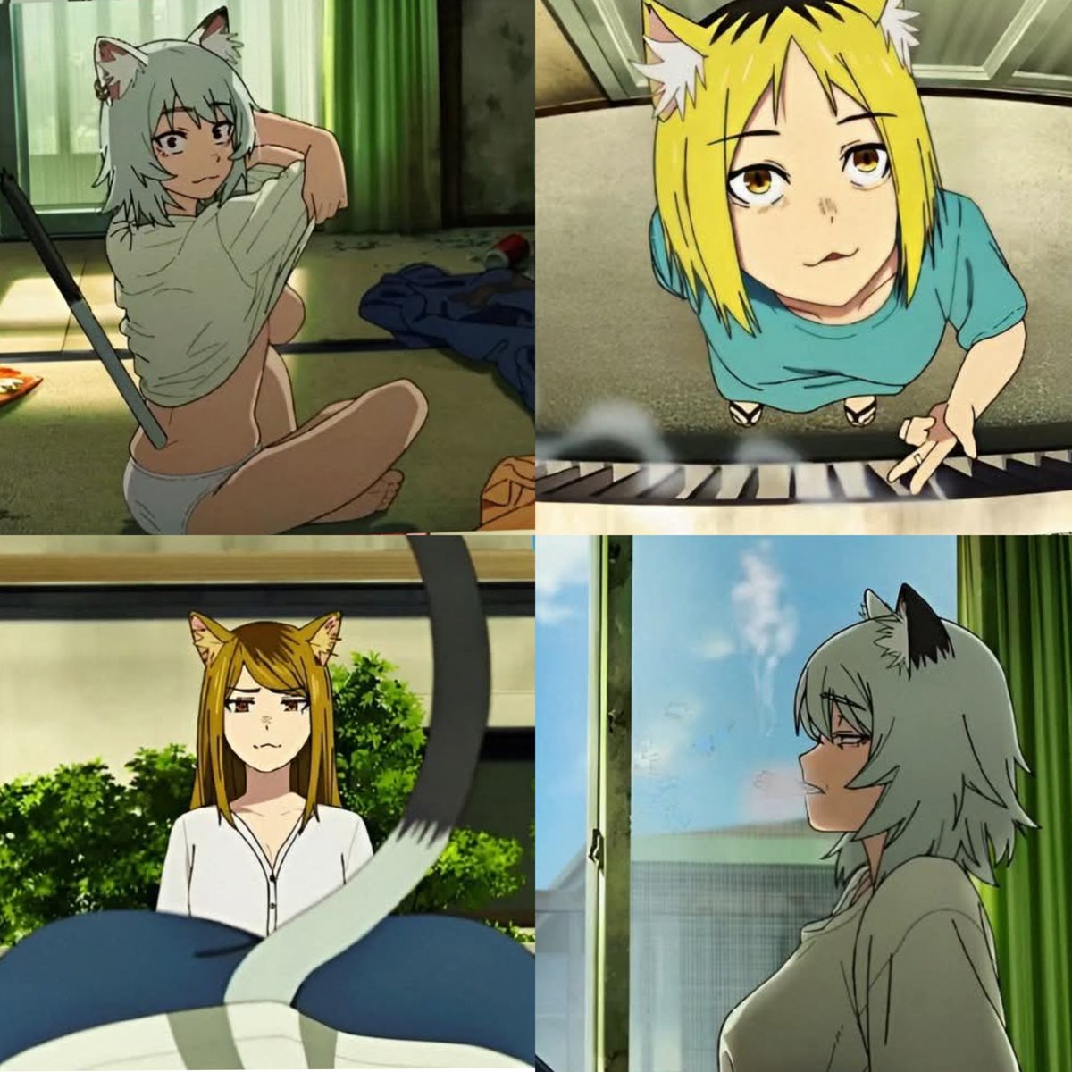 AnimexTwts's tweet photo. Chainsmoker Cat https://t.co/RRxoyAxpXh