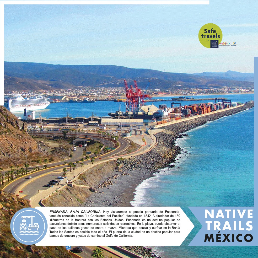 MxNative's tweet photo. 📍Ensenada, Baja California, México🇲🇽

#ConNativeTrailsAMéxico #NativeTrailsMX #México #mexicolindoyquerido #BajaCalifornia

Más información 📌 https://t.co/jU36SmZkx6

✉️Info@nativetrails.de https://t.co/XktuUnz0et