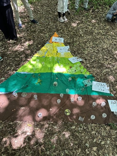 u_biodiversity's tweet photo. その「なんだろう？」が，自然を守る第一歩🌿
5/30，#宇都宮共和大学「子どもの森」で小学生向け自然観察会を開催しました🔍
生きものを探す子どもたちの目は，まさに森の探検隊✨
「椿の花びら染め」も楽しみながら，生きもののつながりを学びました🌸
#生きものつながり講座  #生物多様性 #宇都宮市 https://t.co/PwUjB7lq3h