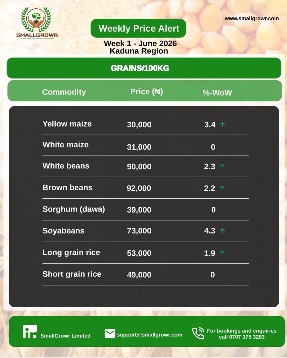 SmallGrowr's tweet photo. Weekly Price Alert 🚨

June Week 1 - Kaduna Region

Rally📈

June 2026 opens slowly with marginal price gains across key commodities. This follows the price drops recorded in the last week of May.

Biggest Gainer: Soybeans, up 4.3% week-on-week.
Biggest Loser: N/A. https://t.co/2E89yknllW