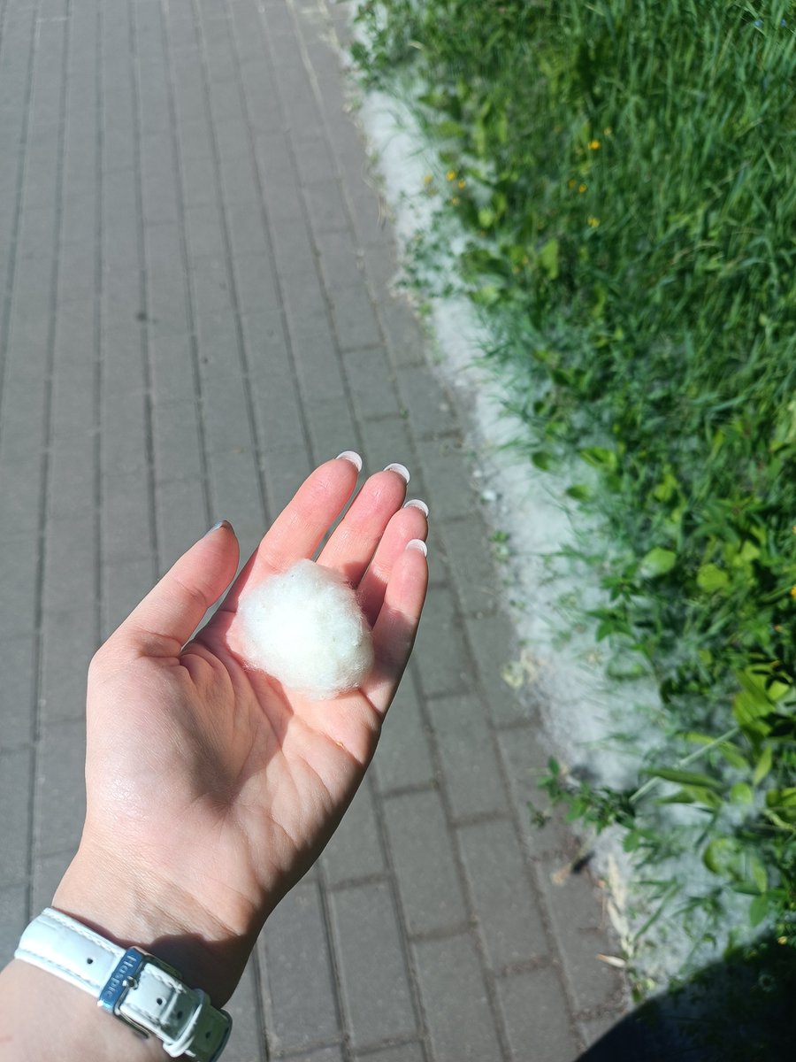 KOBAPHO's tweet photo. В Лошицком парке снег пошел: снежки можно лепить https://t.co/C2ZsWHoogW