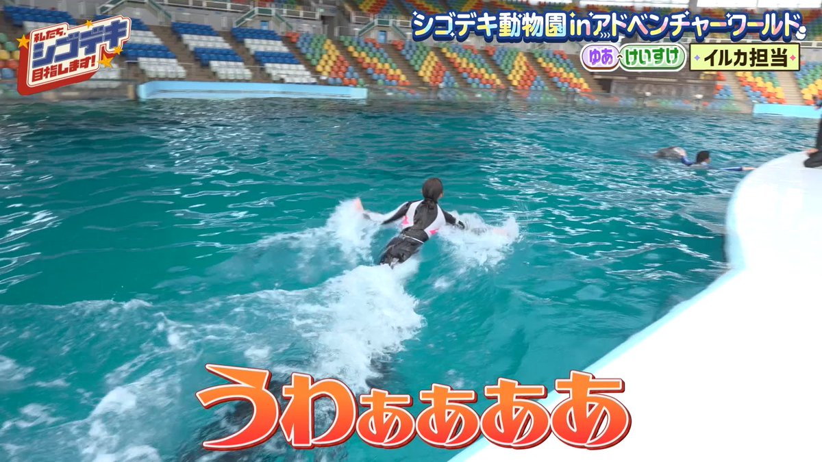 kyousuki_offi's tweet photo. 【衝撃】
水と動物が苦手な女子が1日で急成長

すぱのび🌟ABEMAで無料配信中！
▷ https://t.co/0PkZlxO5QN https://t.co/HEuVDQcJNo