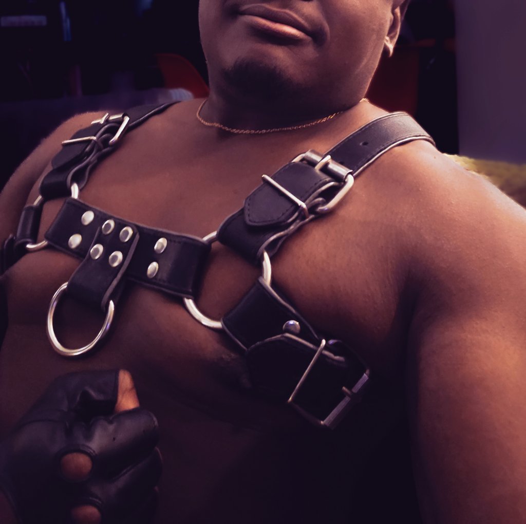 islandboydomii's tweet photo. Should've post this last week

#gaycruising #gaysex #IML #leather #gaysubs #doms #mcm #gay #buyingcontent #pride #harness #pridemonth https://t.co/iMj250cm7K