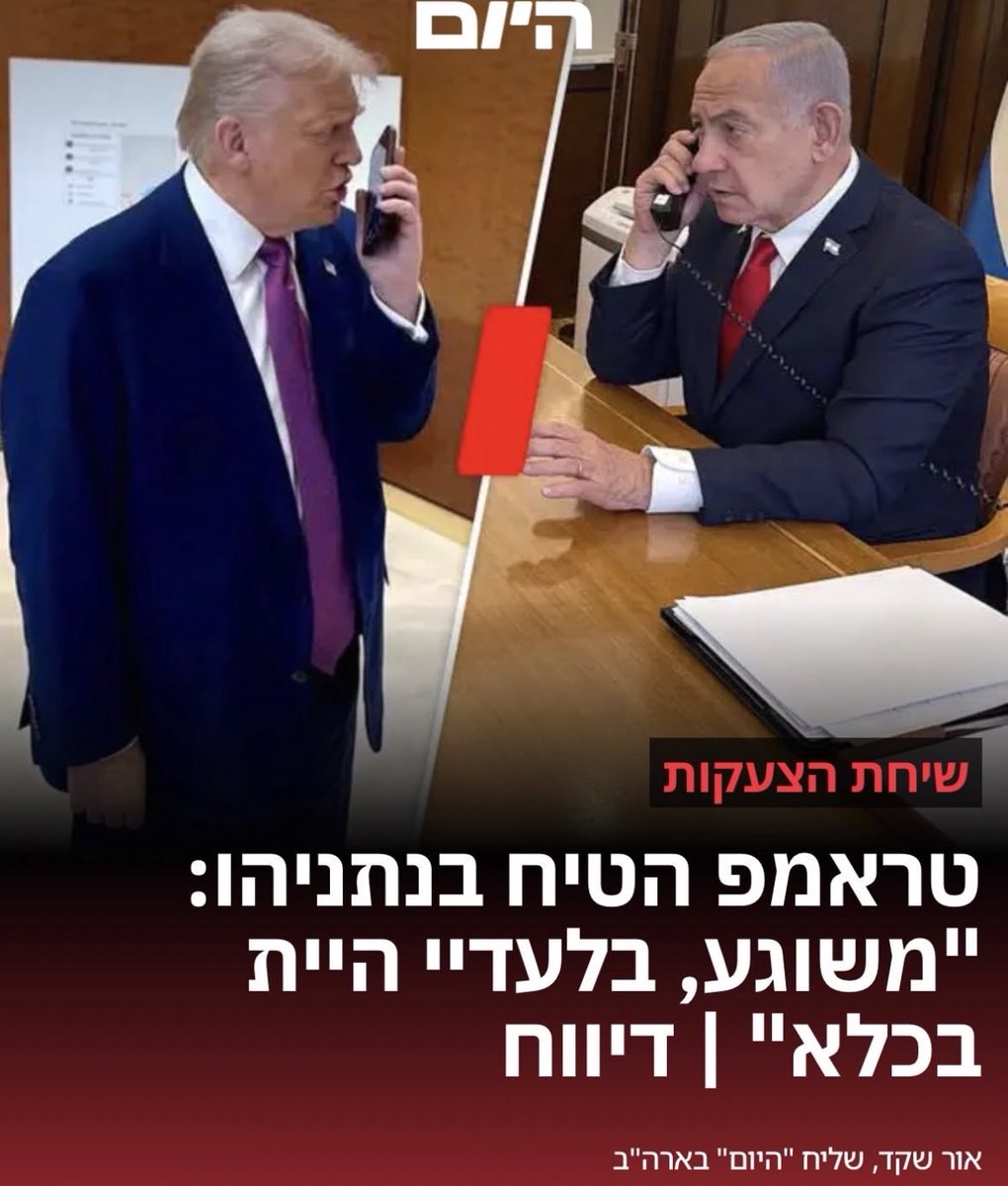 Nimrod Sheffer - נמרוד שפר tweet media