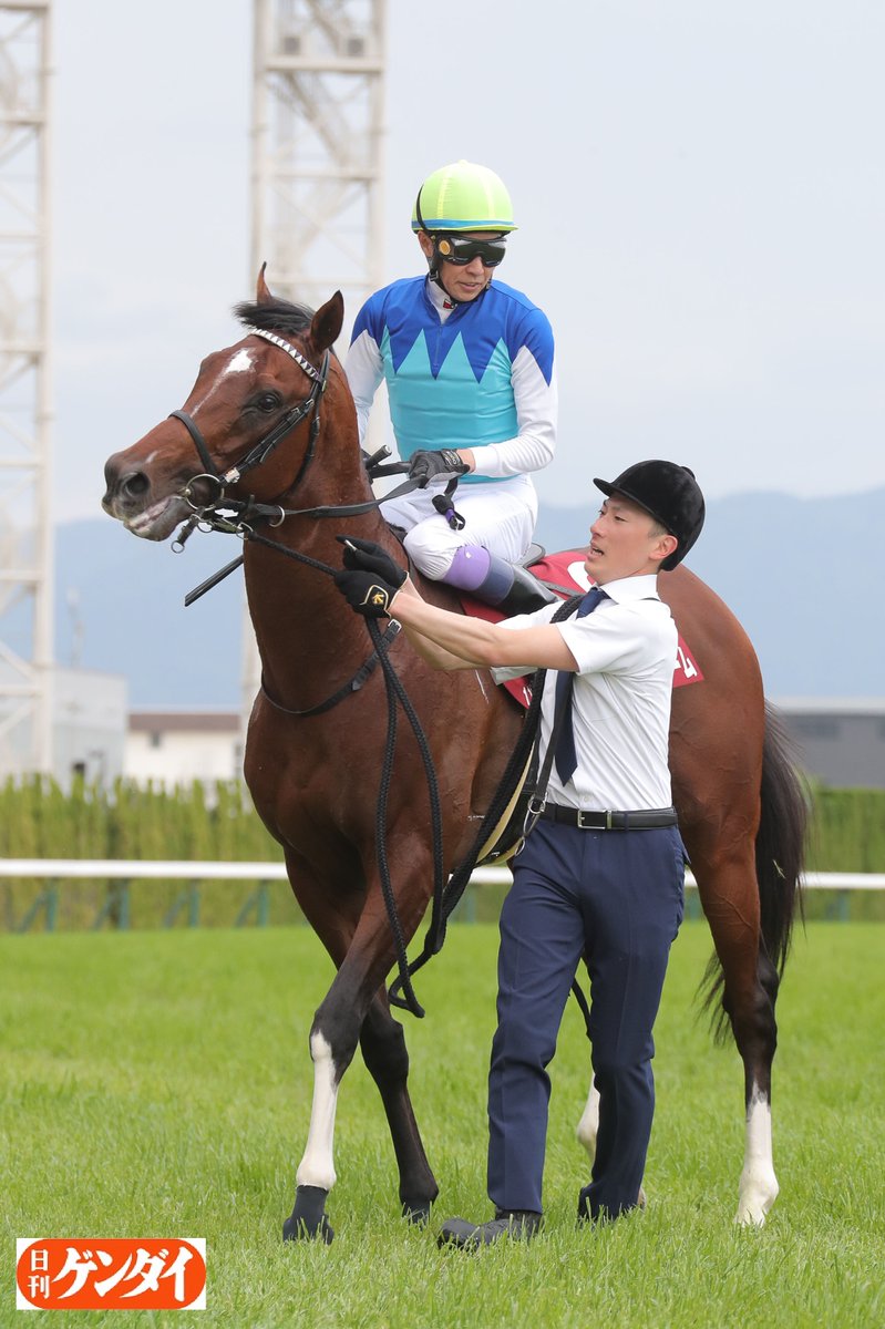 日刊ゲンダイ 競馬 tweet media