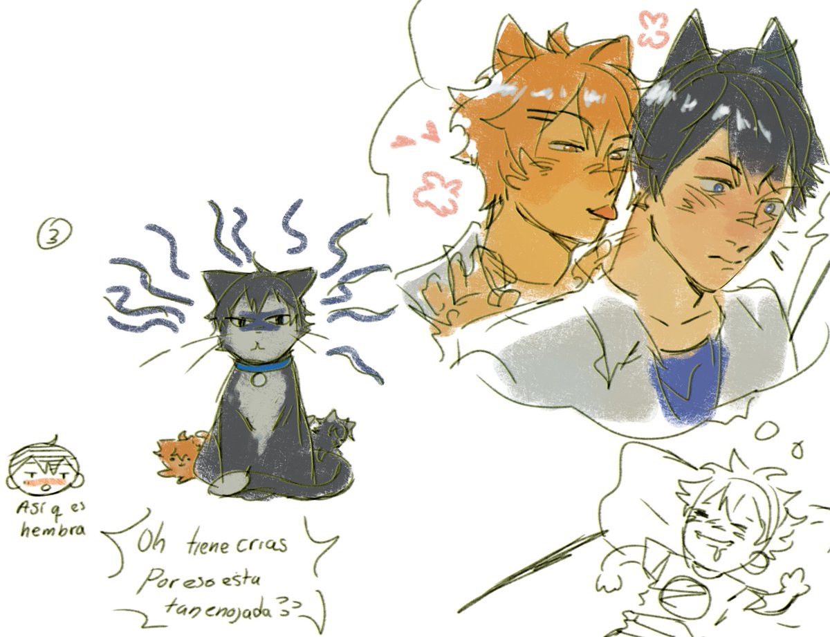 aalesweet13's tweet photo. Cosos nocturnos 🐈⬛🐈♡!!
#shobio #hinakage #hq https://t.co/sjgdLtsYXx
