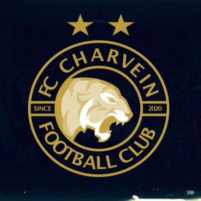 FCCHARVEIN's tweet photo. #NouvellePhotoDeProfil https://t.co/buUG90DsKH