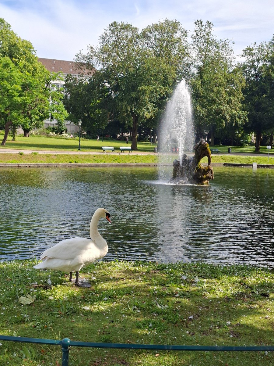 AlanTheTeemo's tweet photo. Visiting Düsseldorf for the second time and just wow I dont remember this city being so nice

I skipped hofgarten and schadowstraße last time but the urbanist in me was quite happy

Its such a gigantic shame how few pedestrian spaces exist in Berlin comparatively https://t.co/VPeAZjJf0h