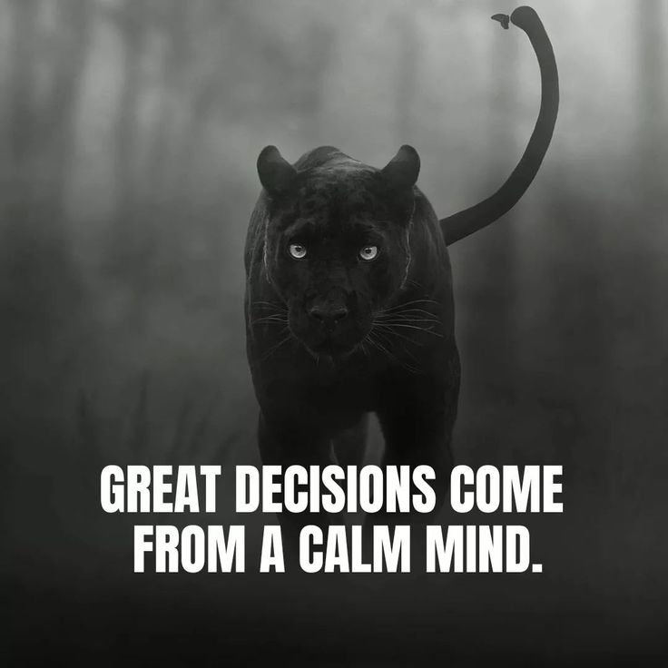 SpartanMasculin's tweet photo. https://t.co/9uRfcUeMu9