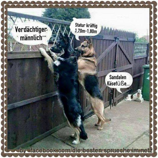 hans_klingen's tweet photo. https://t.co/wp4H5OyBZS