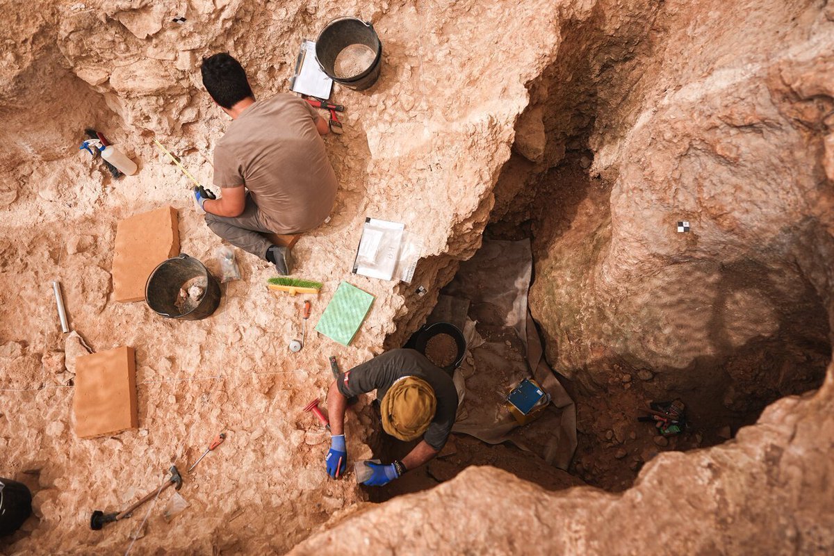 AdmonLocalCM's tweet photo. ⚒️ Abierto el periodo de inscripciones para las visitas guiadas al Valle de los Neandertales de la @ComunidadMadrid.

✅ El yacimiento situado en #PinilladelValle podrá visitarse a partir del 1 de abril hasta el 30 de septiembre.

+Info: https://t.co/oUxMr8iCJ1 https://t.co/kLDUCFKj3r