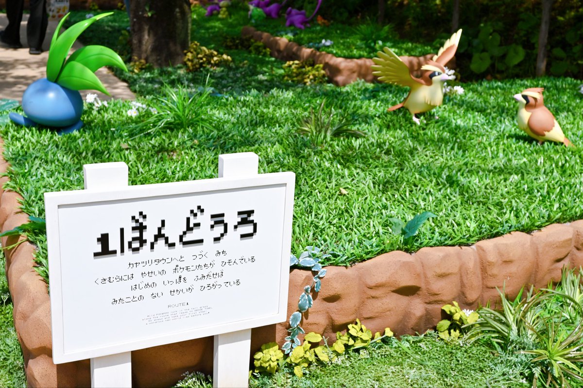 crossover_story's tweet photo. ポケパークの思い出📷 ́͏̖- https://t.co/wkcZ24yHy7