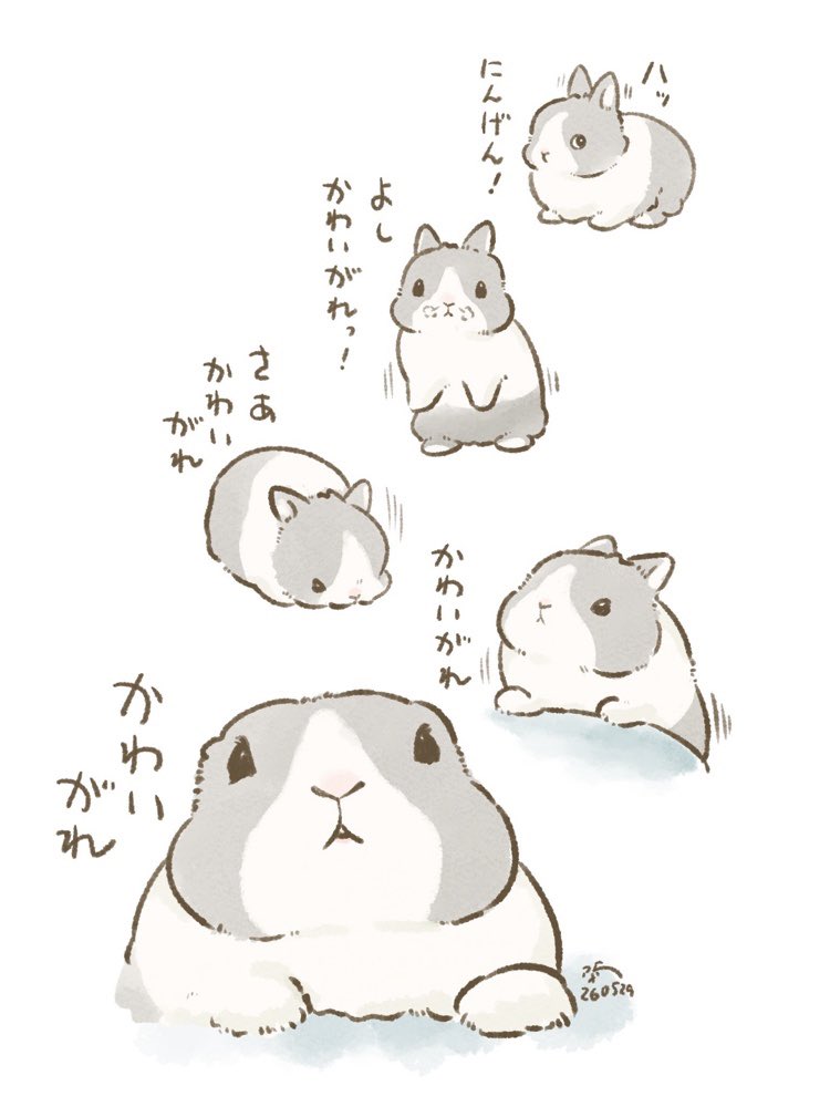 大賀一五🐰 tweet media