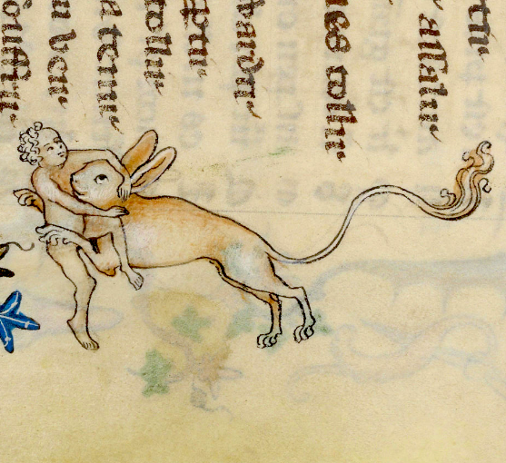 WeirdMedieval's tweet photo. pmo off when people say medieval artists didn't care about anatomy or realism just bc they mostly used their dynamic poses and delicate linework to draw stuff like blokes getting rugby tackled by giant rabbit lions https://t.co/cgxefYnVG6